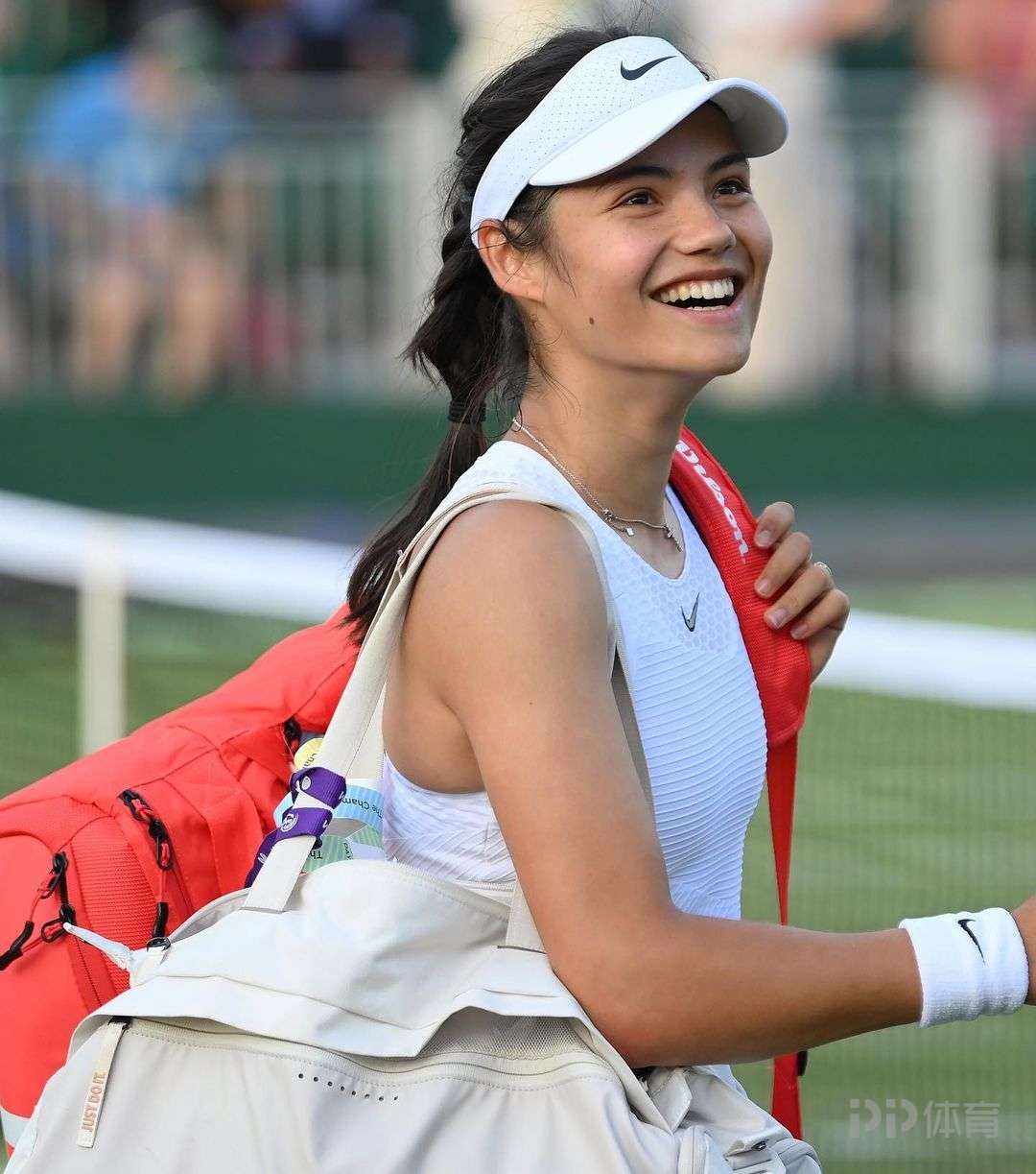 他们指出 他们指出