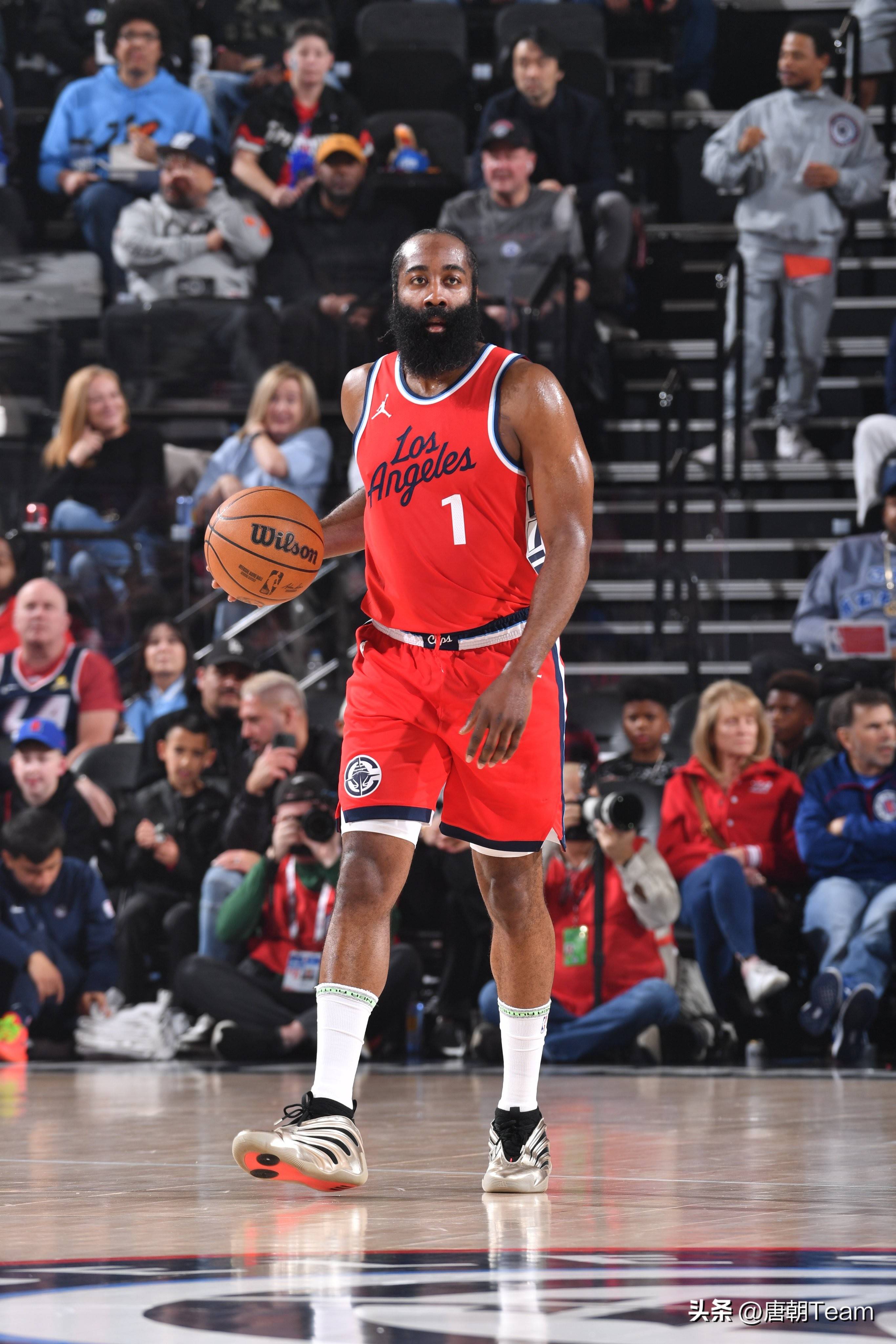 与展示贡献 与展示贡献