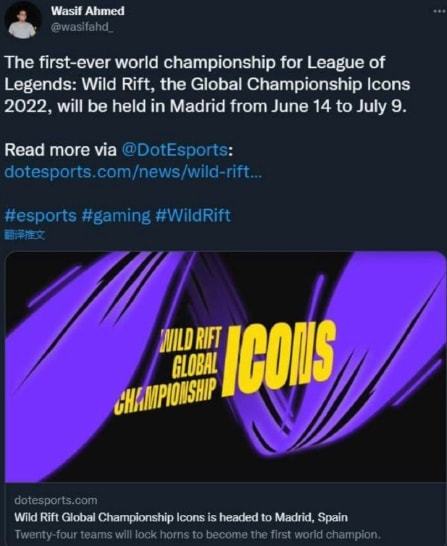 缺乏稳定的 缺乏稳定的